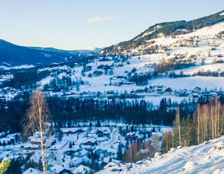 Anders Medhus - for Petterbråten Panorama og Hallingdal Hytteservice